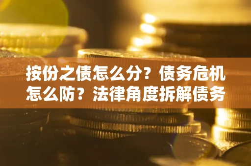 武汉按份之债怎么分？债务危机怎么防？法律角度拆解债务分配与风险自保指南