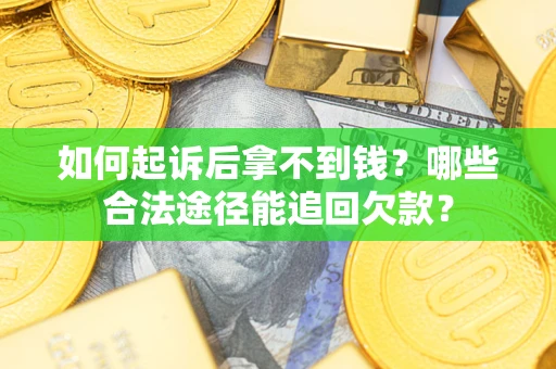 武汉如何起诉后拿不到钱？哪些合法途径能追回欠款？