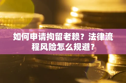 武汉如何申请拘留老赖？法律流程风险怎么规避？