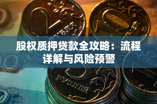 武汉股权质押贷款全攻略：流程详解与风险预警