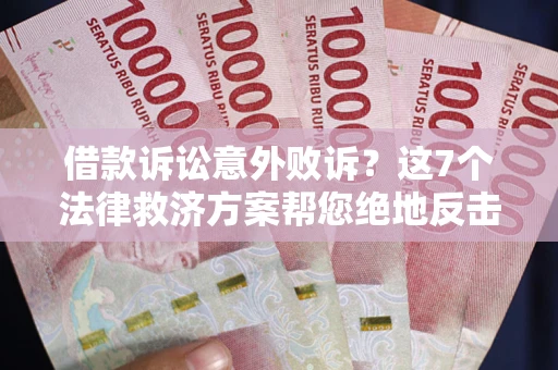 武汉借款诉讼意外败诉？这7个法律救济方案帮您绝地反击！
