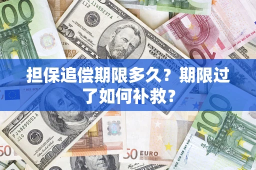 武汉担保追偿期限多久？期限过了如何补救？