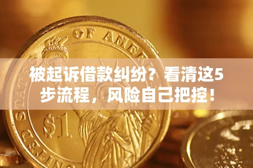 武汉被起诉借款纠纷？看清这5步流程，风险自己把控！