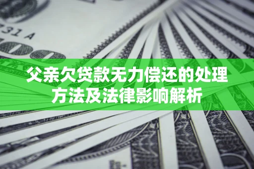 武汉父亲欠贷款无力偿还的处理方法及法律影响解析
