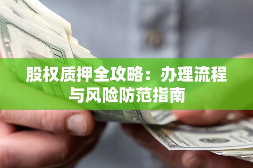 武汉股权质押全攻略：办理流程与风险防范指南