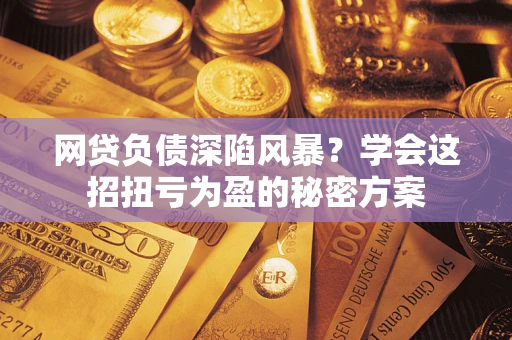武汉网贷负债深陷风暴？学会这招扭亏为盈的秘密方案