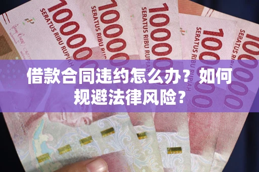 武汉借款合同违约怎么办？如何规避法律风险？
